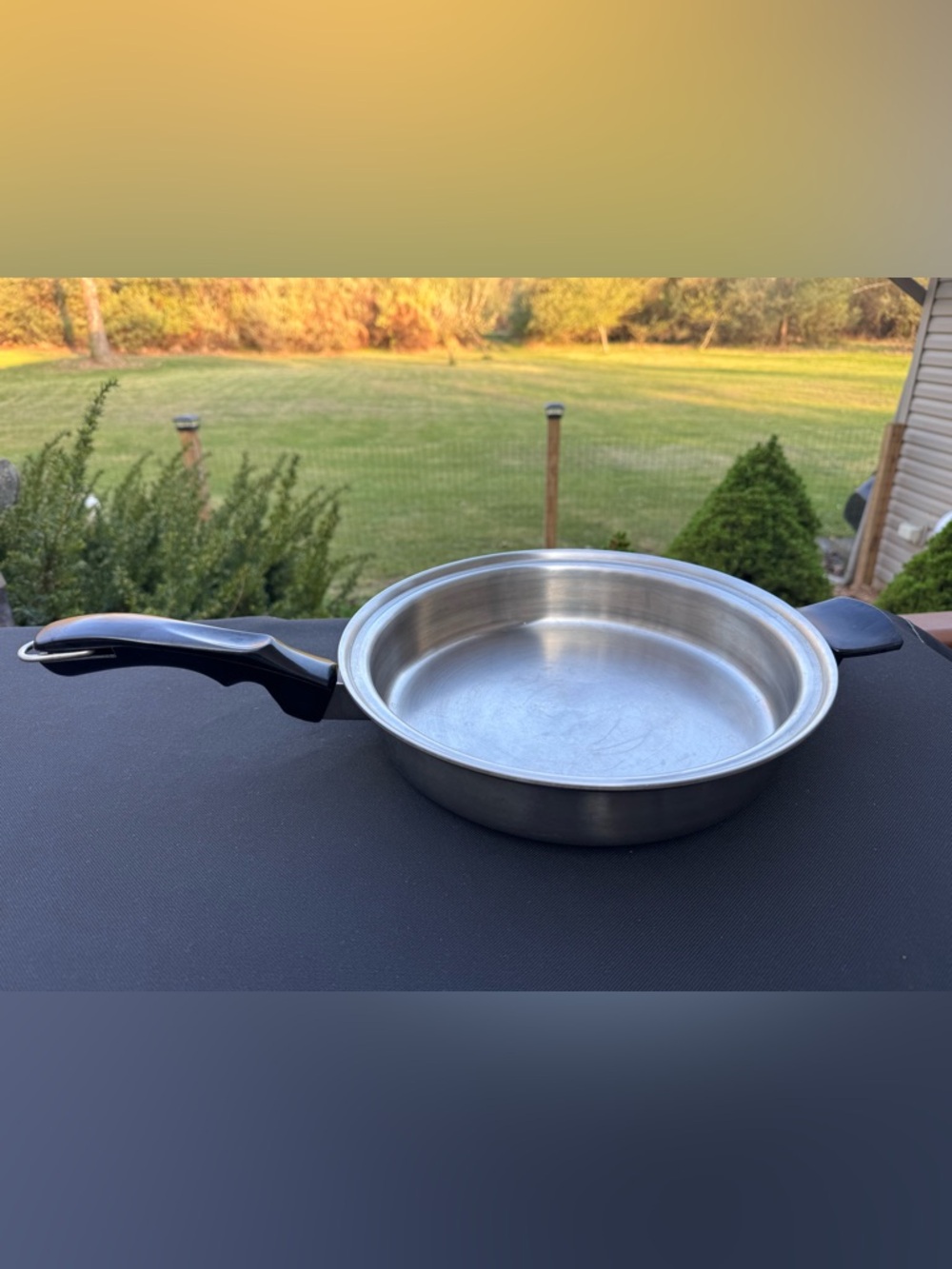 Pro-Health Ultra Magnetic Induction Core 10in Saucepan Stainless Large skillet